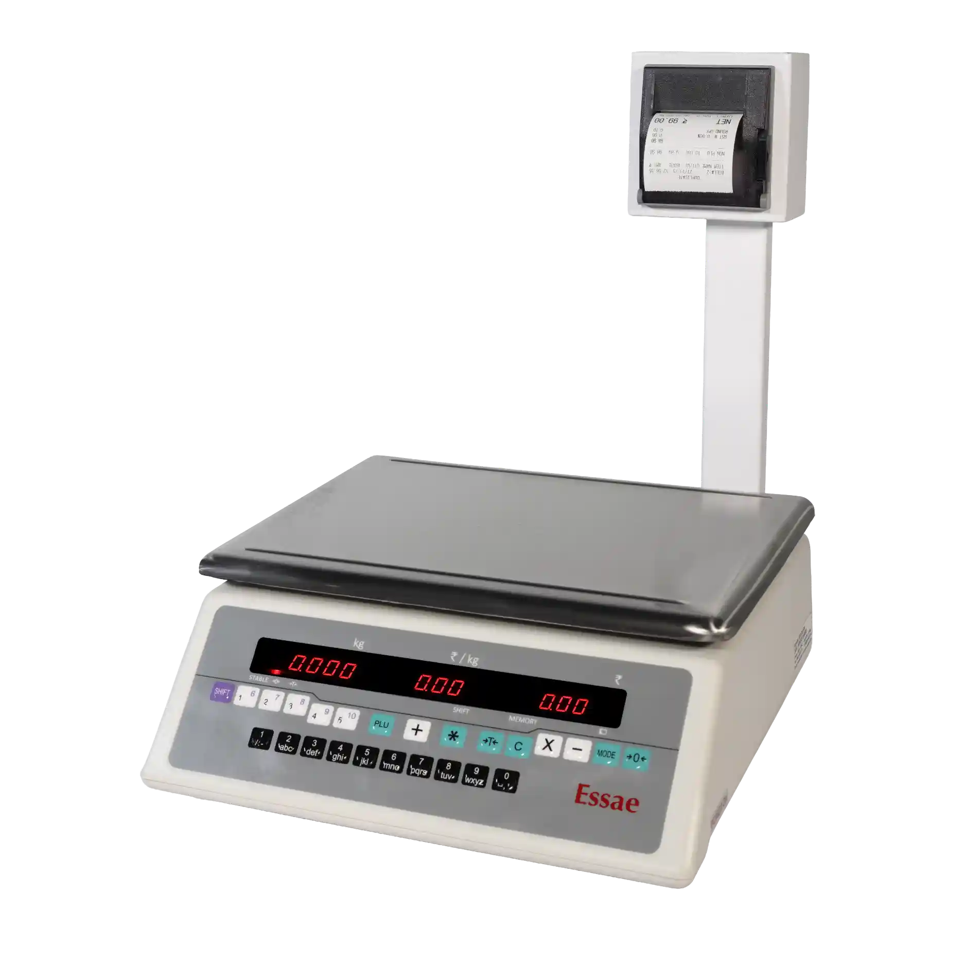 DS-252PR Receipt printing weighing scale