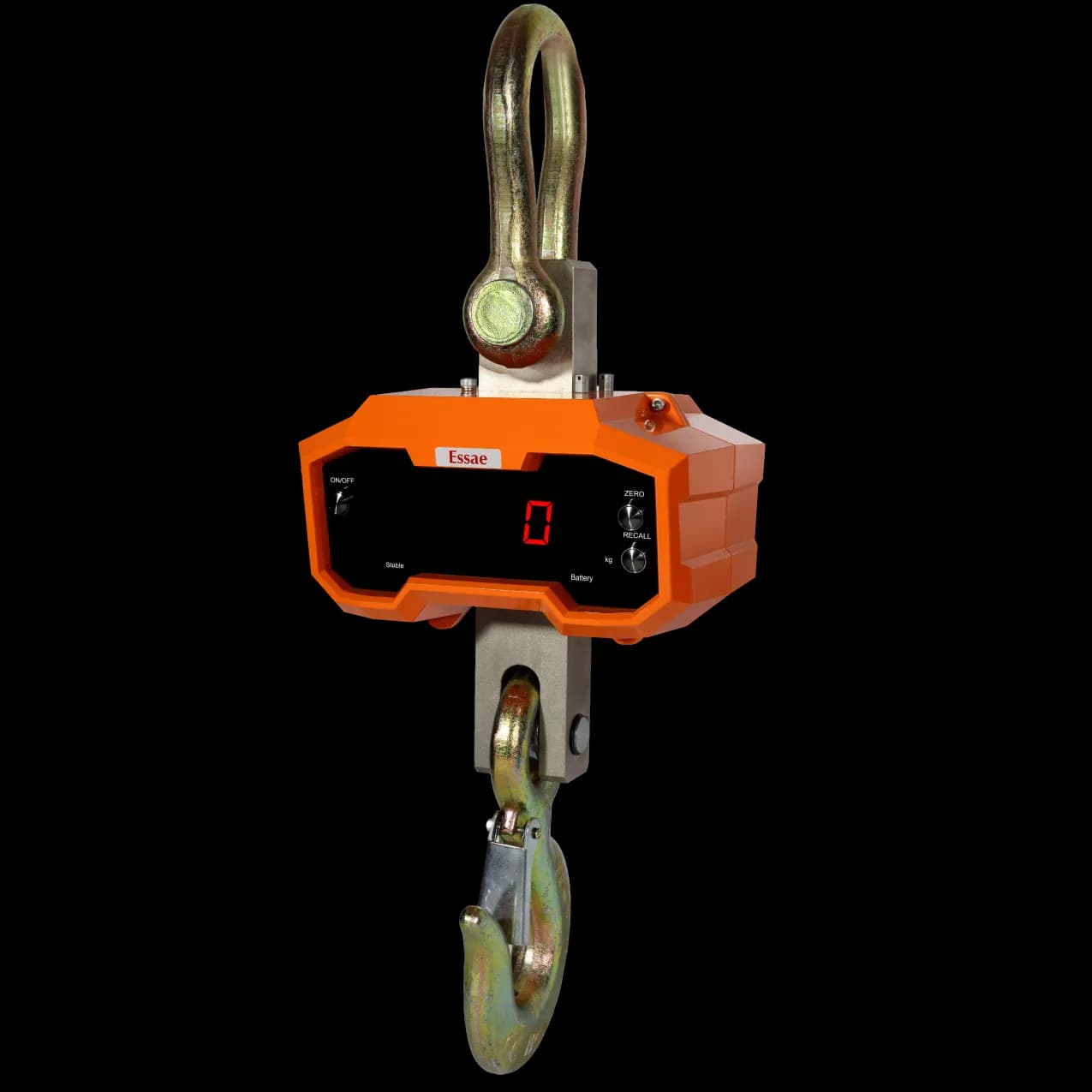 DS-350 Crane scale