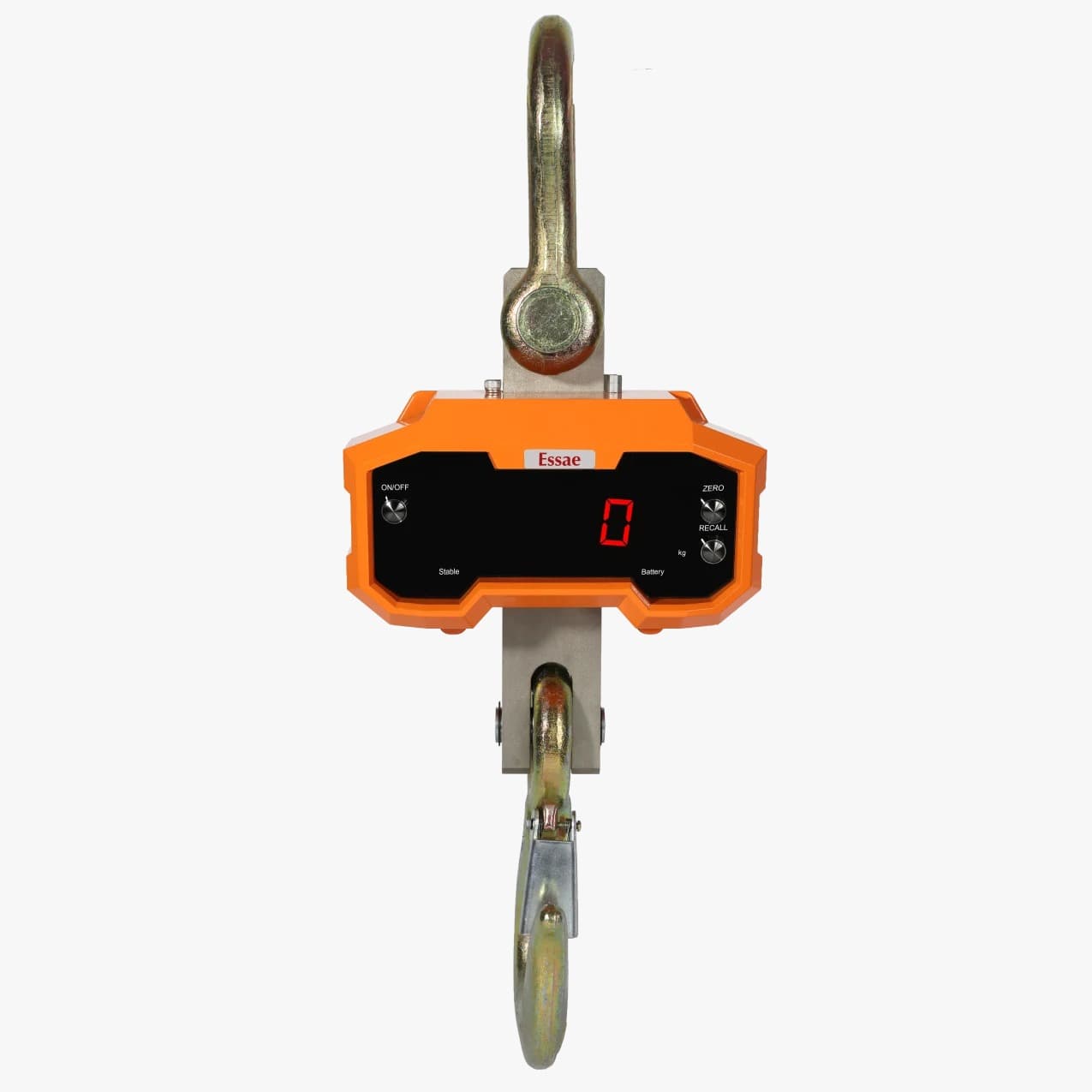 DS-350 Crane scale